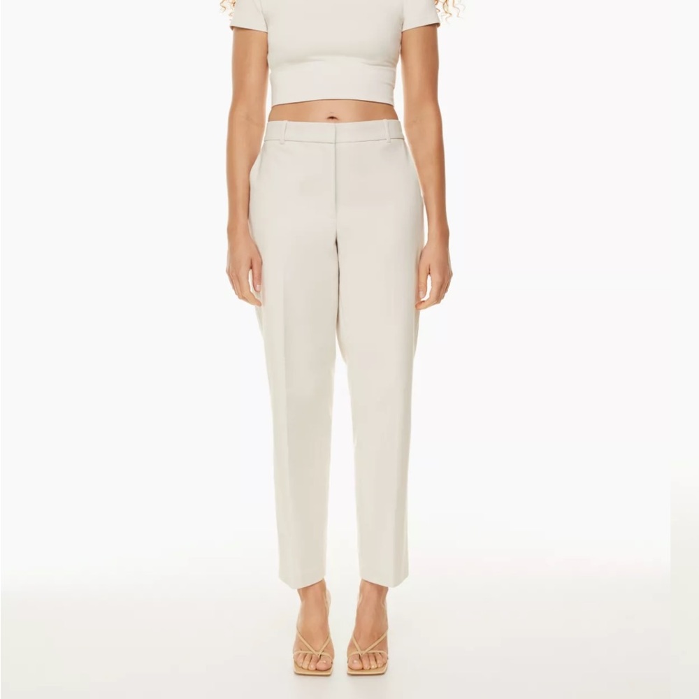 Aritzia New Command trousers
